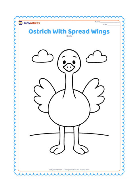 Colouring page: An ostrich faces forward with both wings gently spread, showing its rounded body, long neck and two feet. Add a simple open sky and ground line behind it.