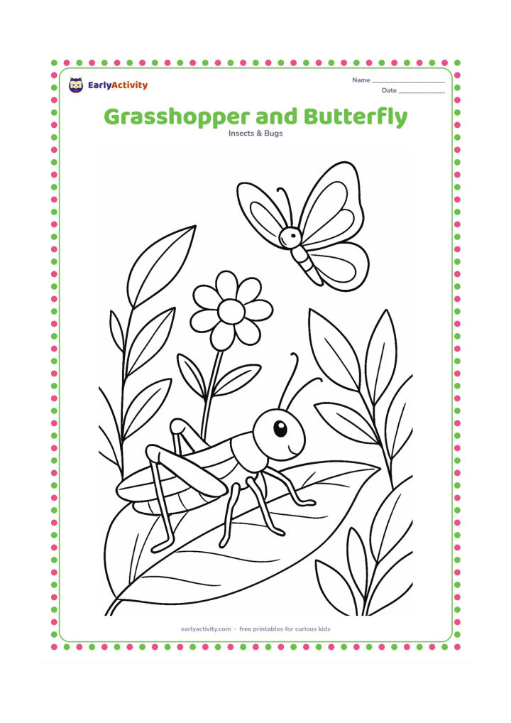 Colouring page: Draw a grasshopper on a leaf looking toward a butterfly hovering above a flower. Include several garden leaves, but keep both insects fully outlined and easy to distinguish.