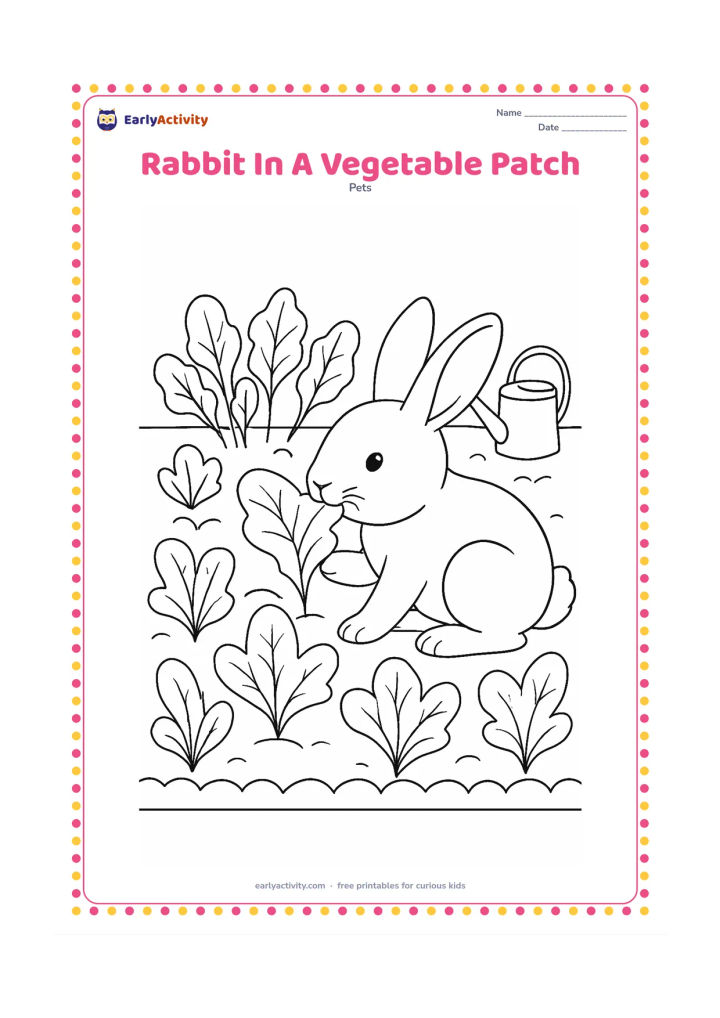 Colouring page: A rabbit crouches among broad leafy vegetables, nibbling one leaf. Include three rows of plants, a small garden border and a watering can in the background.