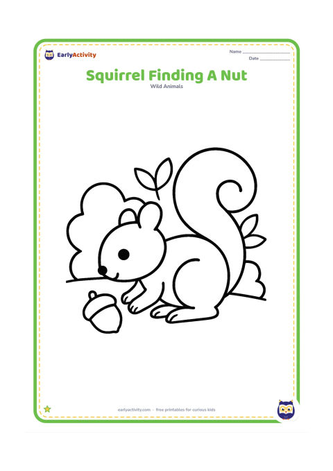 Colouring page: Draw a squirrel crouching beside a single large nut on the ground, with two rounded bushes and a few big leaves behind it.