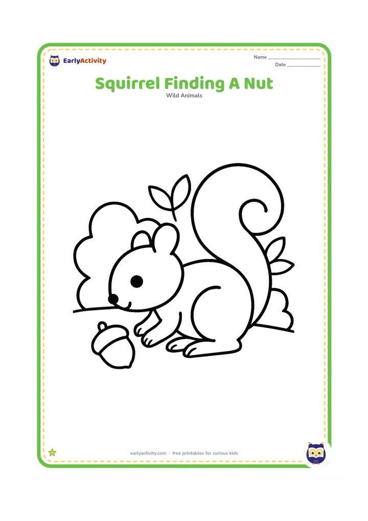 Colouring page: Draw a squirrel crouching beside a single large nut on the ground, with two rounded bushes and a few big leaves behind it.