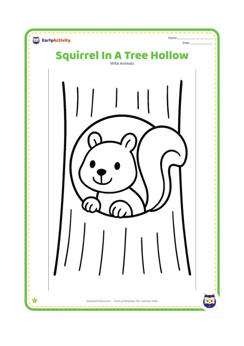 Colouring page: Draw a squirrel peeking out from a large round hollow in a tree trunk, with its head, paws, and bushy tail visible.