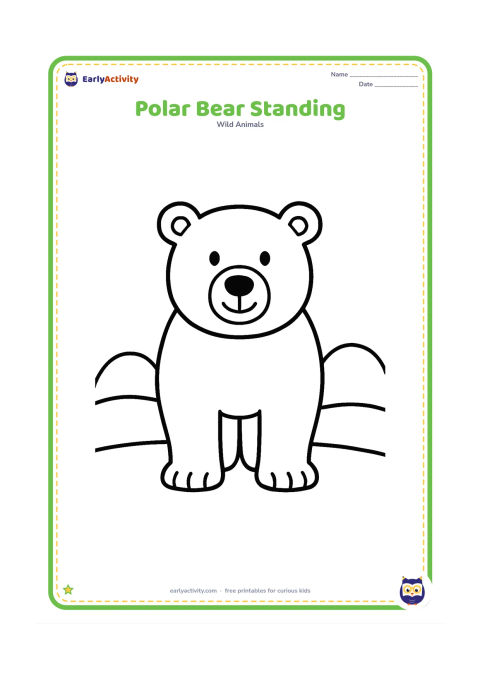 Colouring page: A friendly polar bear stands facing forward on a wide patch of snow, with two rounded snowdrifts behind it and plenty of open space around the large body.