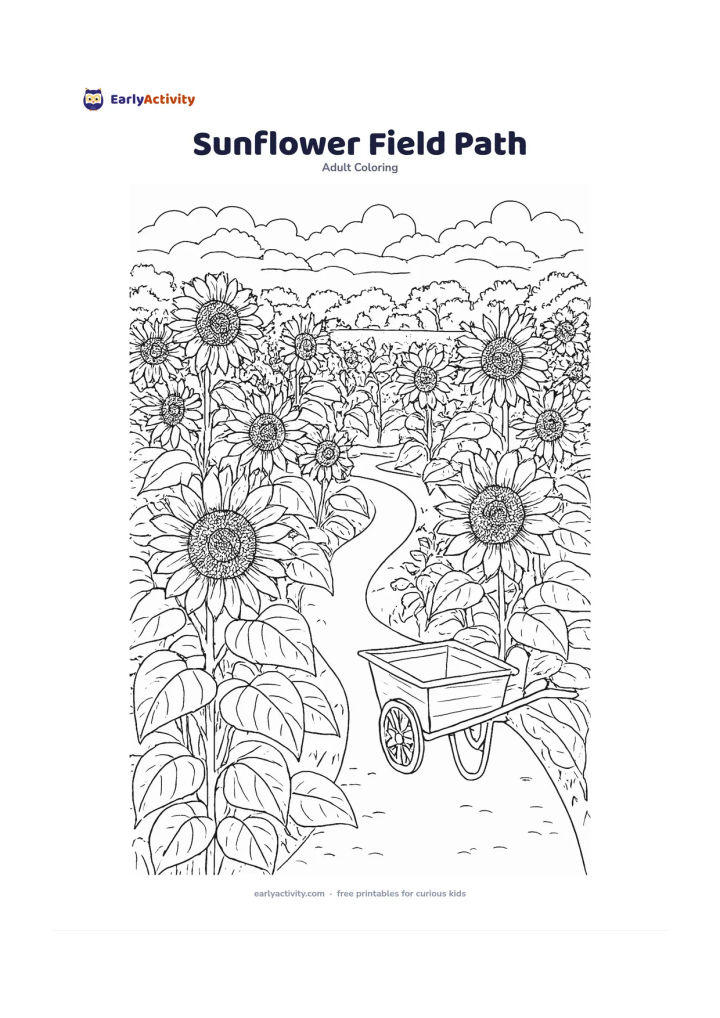 Colouring page: Draw a winding path through a field of tall sunflowers, with blooms facing different directions, broad leaves and a distant tree line. Place a small watering cart at one side of the path.