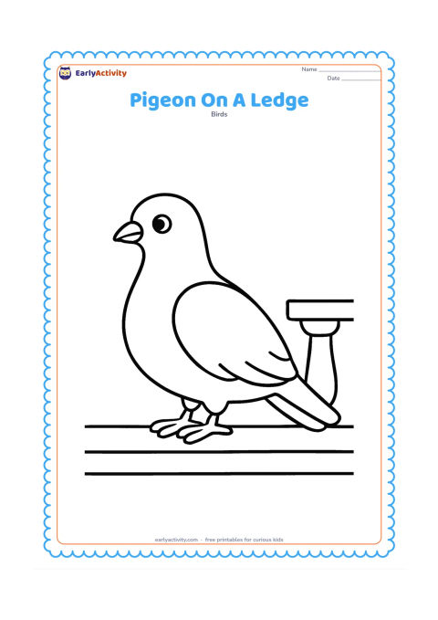 Colouring page: A pigeon rests on a wide balcony ledge, facing left with both feet visible. Add one simple railing post and a clear open sky behind it.