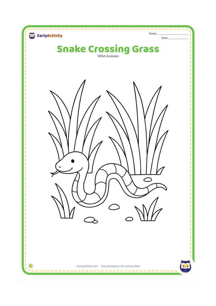 Colouring page: Draw a snake weaving through tall grass from left to right, with its body partly hidden behind two grass clumps. Include several broad blades and a few small ground stones.