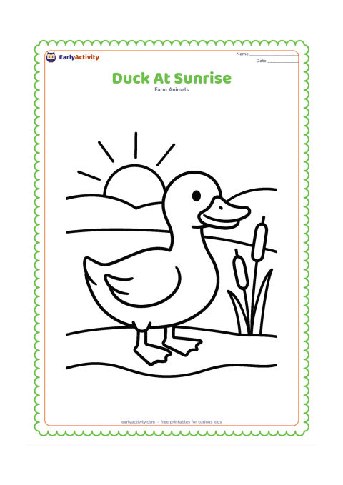 Colouring page: A duck stands on a pond bank with the rising sun behind it. Show a few wide rays, low hills, two reeds and a broad curved waterline.