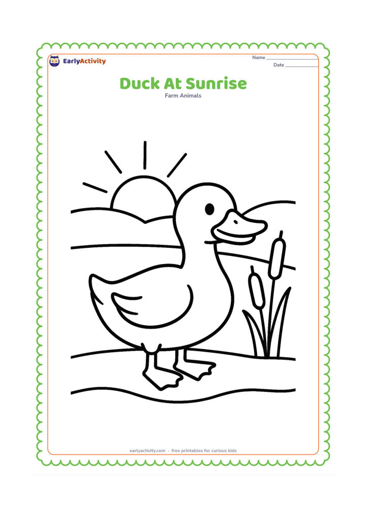 Colouring page: A duck stands on a pond bank with the rising sun behind it. Show a few wide rays, low hills, two reeds and a broad curved waterline.