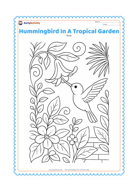 Colouring page: A hummingbird feeds from a long tubular tropical flower surrounded by layered leaves, curling vines and a few smaller blossoms. Add a distant palm leaf and a low garden wall.
