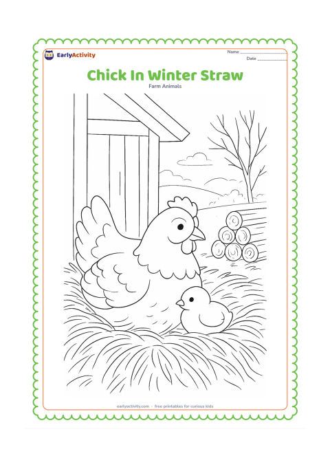 Colouring page: Draw a chick nestled into a deep straw bed beside a hen on a cool winter morning. Add a simple shelter wall, stacked firewood, misty fields, and bare branches outside.