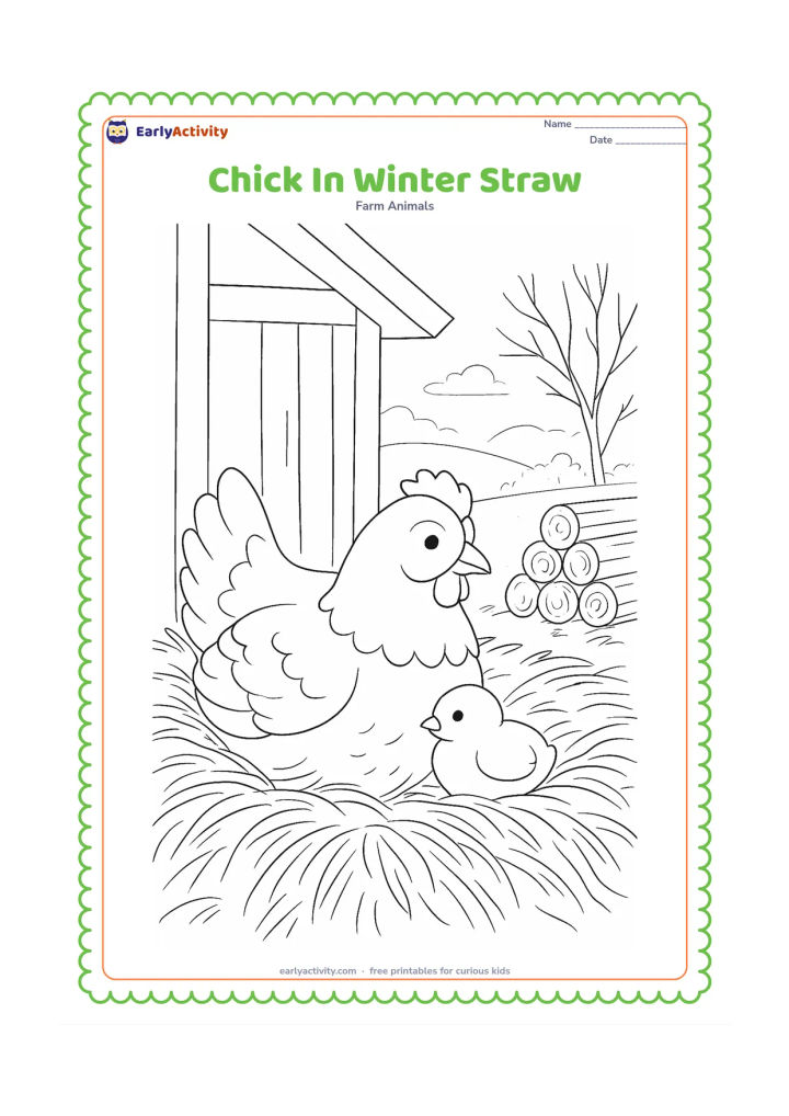 Colouring page: Draw a chick nestled into a deep straw bed beside a hen on a cool winter morning. Add a simple shelter wall, stacked firewood, misty fields, and bare branches outside.
