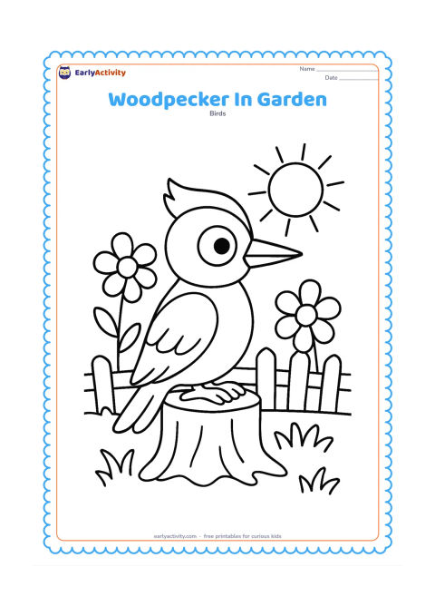 Colouring page: A woodpecker rests on a short tree stump in a sunny garden, with large flowers, grass and a simple fence behind it. Keep the bird as the main central subject.