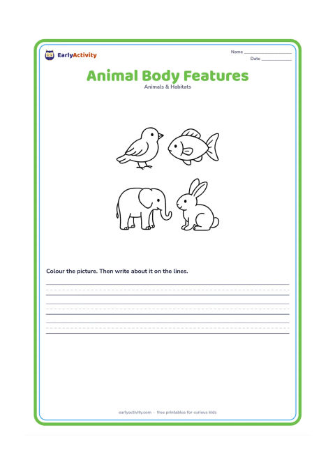 Worksheet: Draw a clear row of a bird, fish, elephant and rabbit, each in a separate open space. Show prominent feathers and wings, fins, trunk and long ears so children can compare body features.
