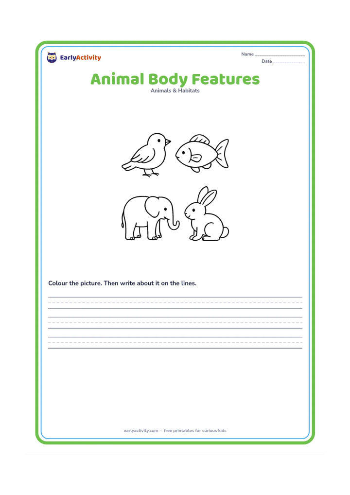 Worksheet: Draw a clear row of a bird, fish, elephant and rabbit, each in a separate open space. Show prominent feathers and wings, fins, trunk and long ears so children can compare body features.