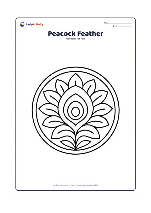 Colouring page: A circular mandala centred on one large peacock feather eye, with repeated broad feather shapes, leaves and curved bands radiating around it. Do not draw a peacock or any writing.
