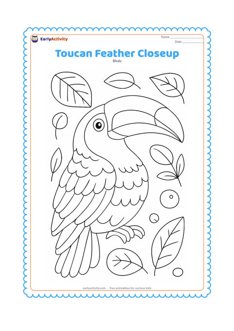 Colouring page: A close view of a toucan's head, large bill, wing, and layered tail feathers fills the page. Add carefully separated feather groups, bill markings, a few leaf veins, and small fruit…