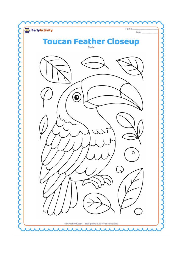 Colouring page: A close view of a toucan's head, large bill, wing, and layered tail feathers fills the page. Add carefully separated feather groups, bill markings, a few leaf veins, and small fruit…