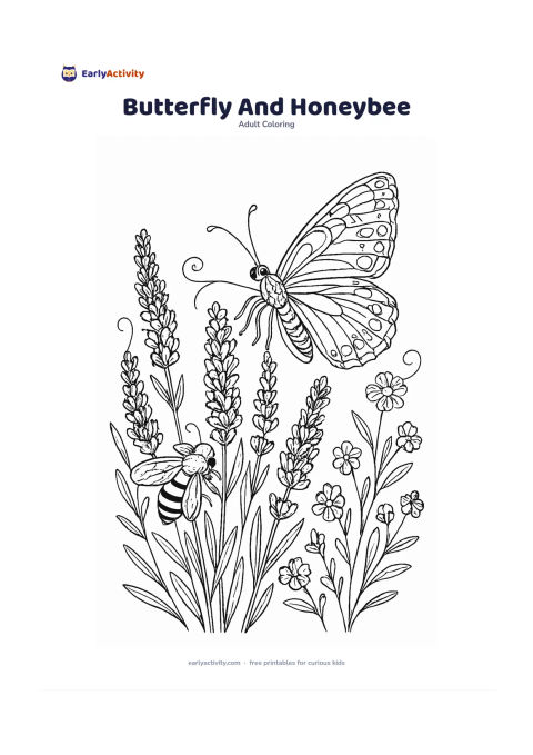 Colouring page: Draw a butterfly and a honeybee visiting a cluster of lavender and small meadow flowers. The butterfly should be the largest subject, with clearly different wing patterns and a few…