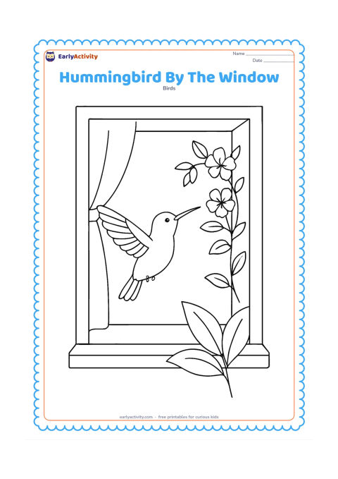 Colouring page: A hummingbird flies outside an open window toward a flowering vine. Show a simple window frame, curtain edge, sill and two indoor plant leaves.