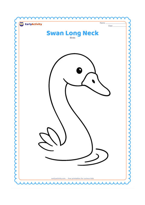 Colouring page: Show a close view of a swan's head and long curved neck rising from the lower edge of the page. Add one small water ripple and a few simple feathers at the neck base.