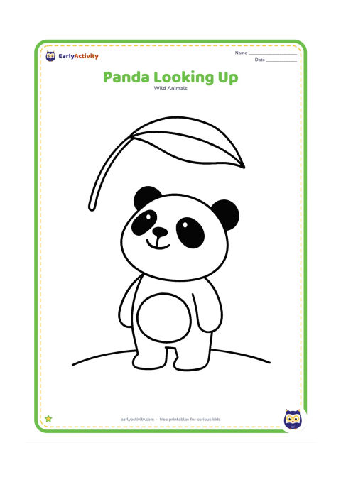 Colouring page: Draw a standing panda looking upward toward one oversized bamboo leaf hanging above its head. Include a simple curved ground line.