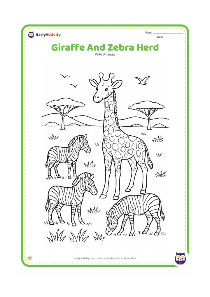 Colouring page: A giraffe stands among several friendly zebras in a broad grassland. Include layered grasses, acacia trees, distant hills, birds and varied animal poses such as standing, walking and…