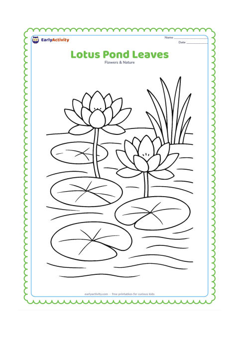 Colouring page: Several lotus leaves float on a pond beside two open lotus flowers, with curved stems, gentle water lines and reeds along the edge.