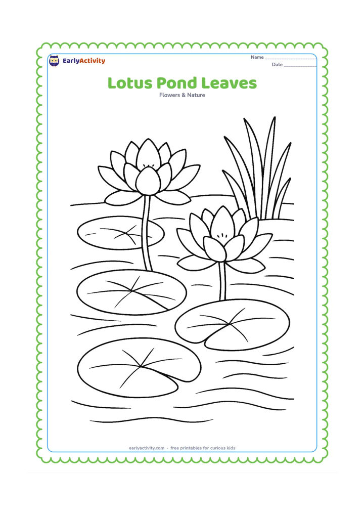 Colouring page: Several lotus leaves float on a pond beside two open lotus flowers, with curved stems, gentle water lines and reeds along the edge.