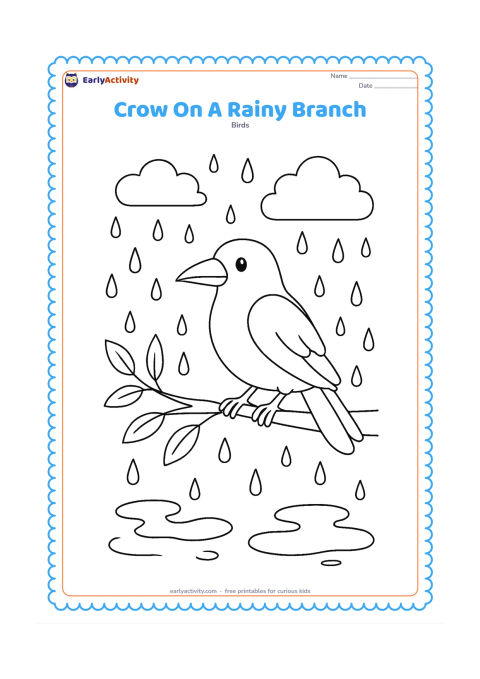 Colouring page: A crow perches on a branch during a gentle rain, with hanging leaves, raindrops, puddles, and clouds around it.