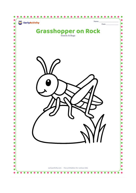 Colouring page: Draw a grasshopper resting on a smooth rock beside a few short grass blades, viewed from the side with its folded wings and long back legs easy to see.