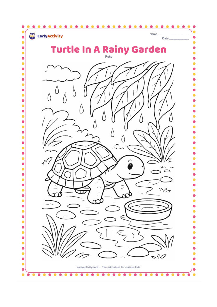 Colouring page: A pet turtle moves through a sheltered garden after rain, passing wet leaves, puddles, smooth stones and a covered water dish. Add cloud shapes, dripping foliage and reflections in the…