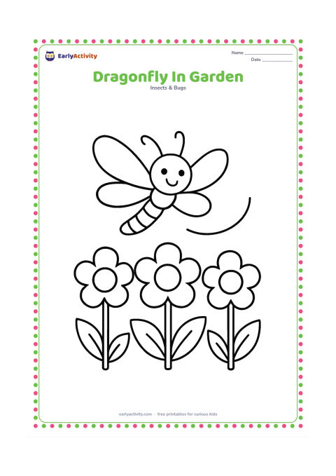 Colouring page: A smiling dragonfly hovers above three large garden flowers, with two broad leaves and a simple curved flight path. Place the insect in the middle and leave the flowers uncluttered.