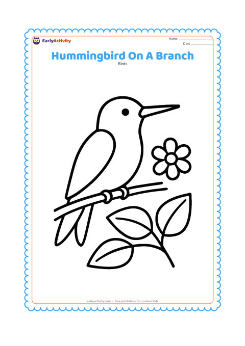 Colouring page: A hummingbird rests on a thin branch with its wings folded and tail pointing downward. Place two large leaves and one simple blossom nearby.