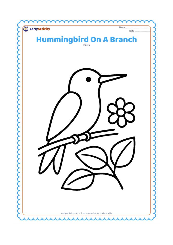 Colouring page: A hummingbird rests on a thin branch with its wings folded and tail pointing downward. Place two large leaves and one simple blossom nearby.