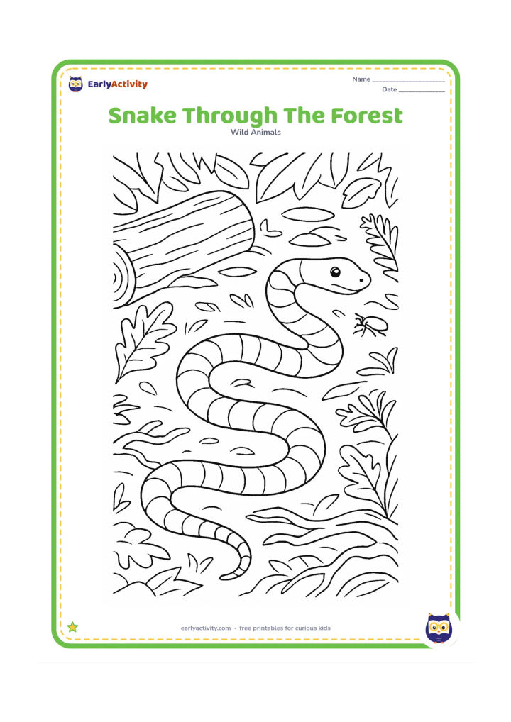 Colouring page: A patterned snake moves in an S-shaped path through a forest floor covered with leaves, ferns, and roots. Show its head calmly raised near a fallen log and a small beetle.