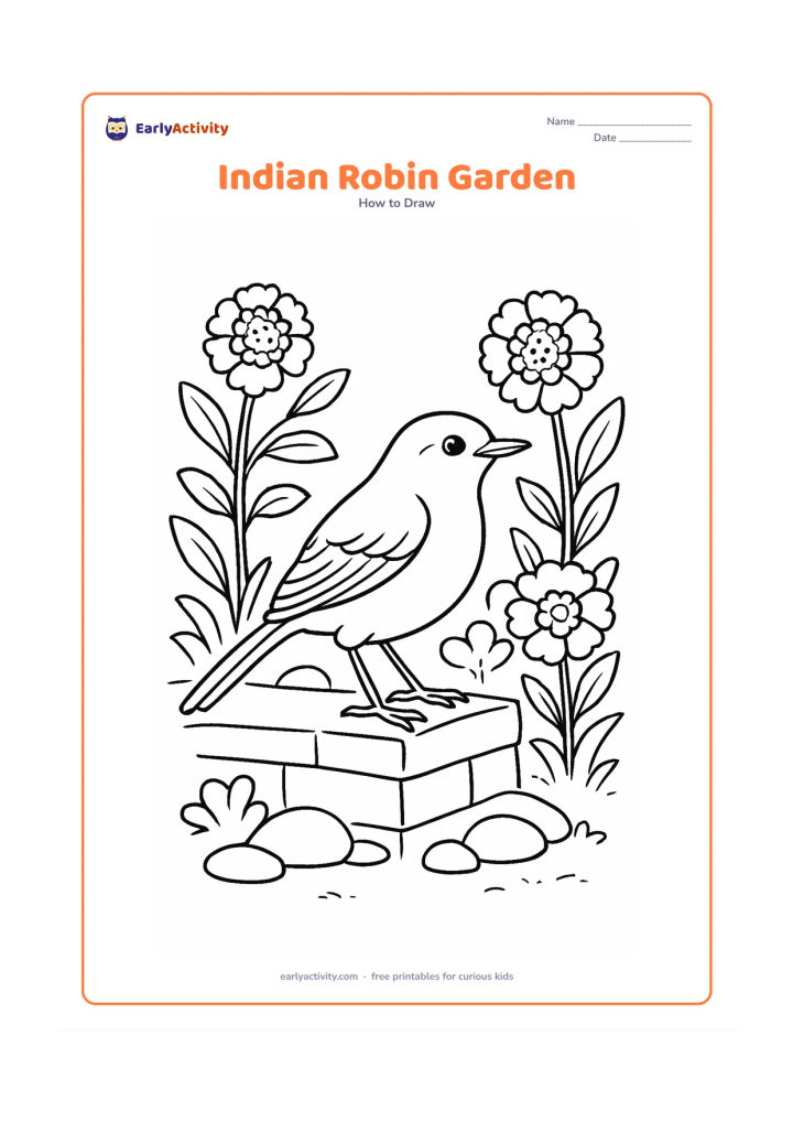 Worksheet: An Indian robin stands on a stone edge in a flowering garden, with a curved tail, upright posture, layered wing feathers and a pointed beak. Add marigold-like flowers, leaves, a small…