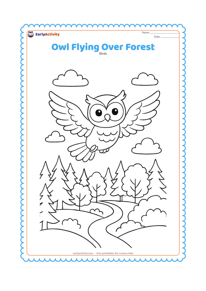 Colouring page: An owl flies above a layered forest of pine-like and broadleaf trees, with a winding path and several clouds below.