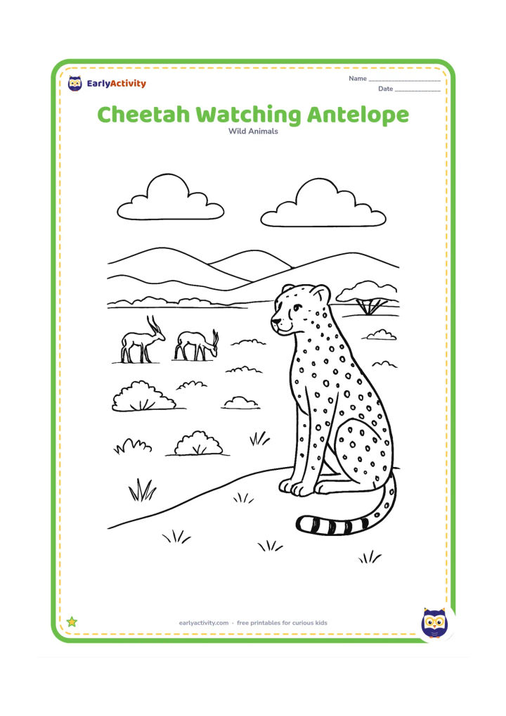 Colouring page: Draw a cheetah sitting quietly on a small rise while two antelopes graze far across the savannah. Add layered hills, a few shrubs and a cloudy sky.