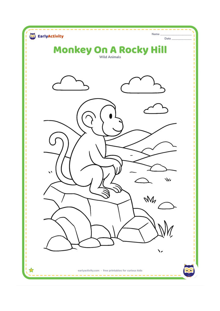 Colouring page: Draw one monkey sitting on a rocky hillside and looking across a valley. Add large rocks, tufts of grass, distant hills and a few clouds.