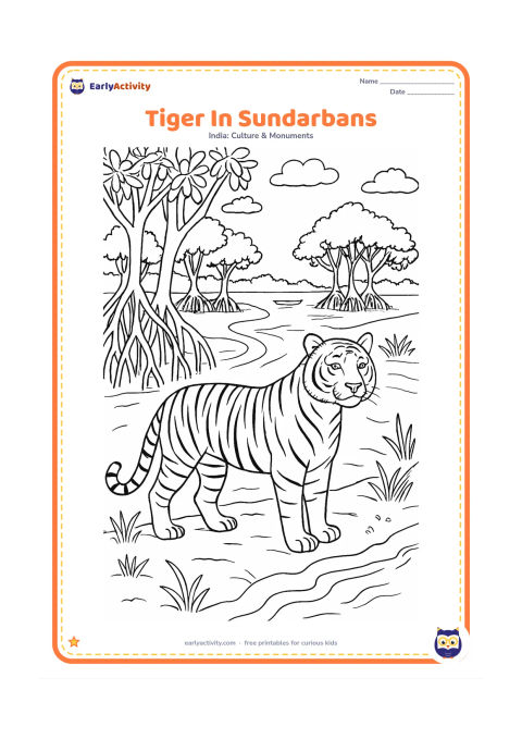 Colouring page: Draw a Bengal tiger standing on a muddy riverbank in the Sundarbans, with mangrove roots, grasses, a winding creek and distant mangrove trees. A small boat may appear far in the…