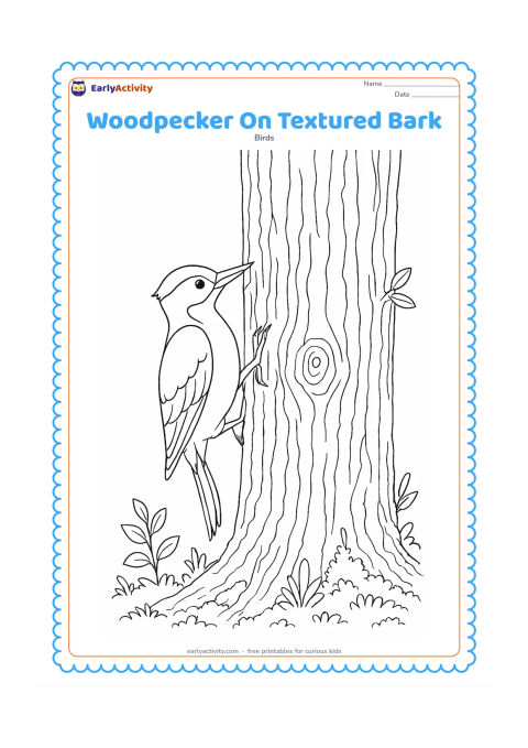 Colouring page: A woodpecker climbs a tall tree trunk and pecks into layered bark. Include detailed bark ridges, a knot in the trunk, small leaves, moss and woodland plants around the lower edge.
