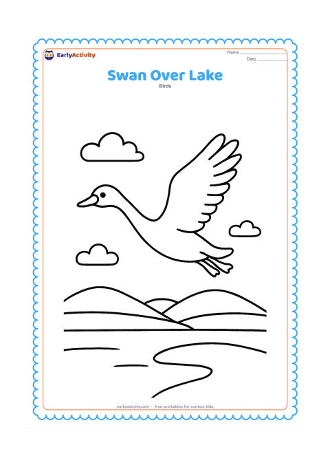 Colouring page: A swan flies across the upper part of the page above a simple lake, with two low hills and a few cloud shapes below. Show the wings extended and the feet tucked back.