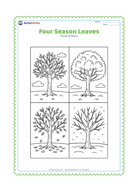 Colouring page: Four connected sections show the same tree through spring, summer, autumn and winter, with changing leaf coverage, fallen leaves and gentle seasonal backgrounds.