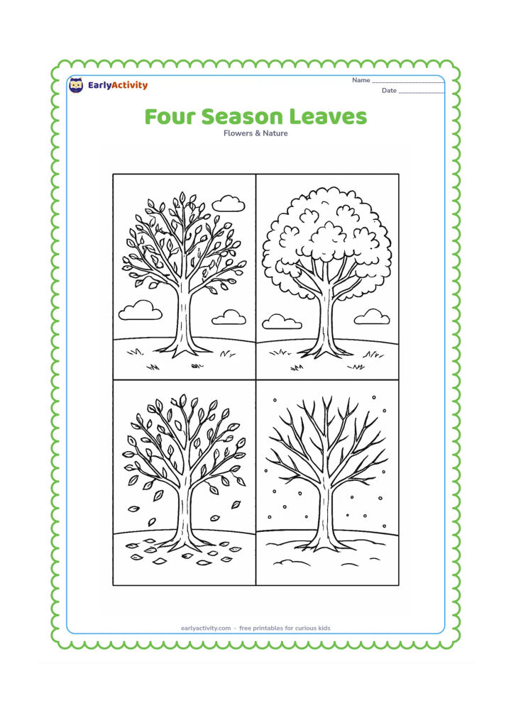 Colouring page: Four connected sections show the same tree through spring, summer, autumn and winter, with changing leaf coverage, fallen leaves and gentle seasonal backgrounds.
