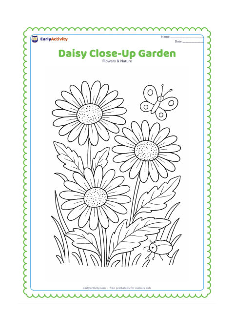 Colouring page: Draw a close view of several overlapping daisies, showing detailed petal shapes, textured centres, veined leaves, stems and curling grass. Add a small butterfly and a beetle among the…