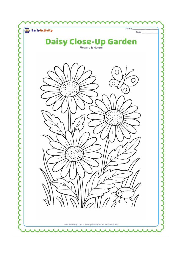 Colouring page: Draw a close view of several overlapping daisies, showing detailed petal shapes, textured centres, veined leaves, stems and curling grass. Add a small butterfly and a beetle among the…