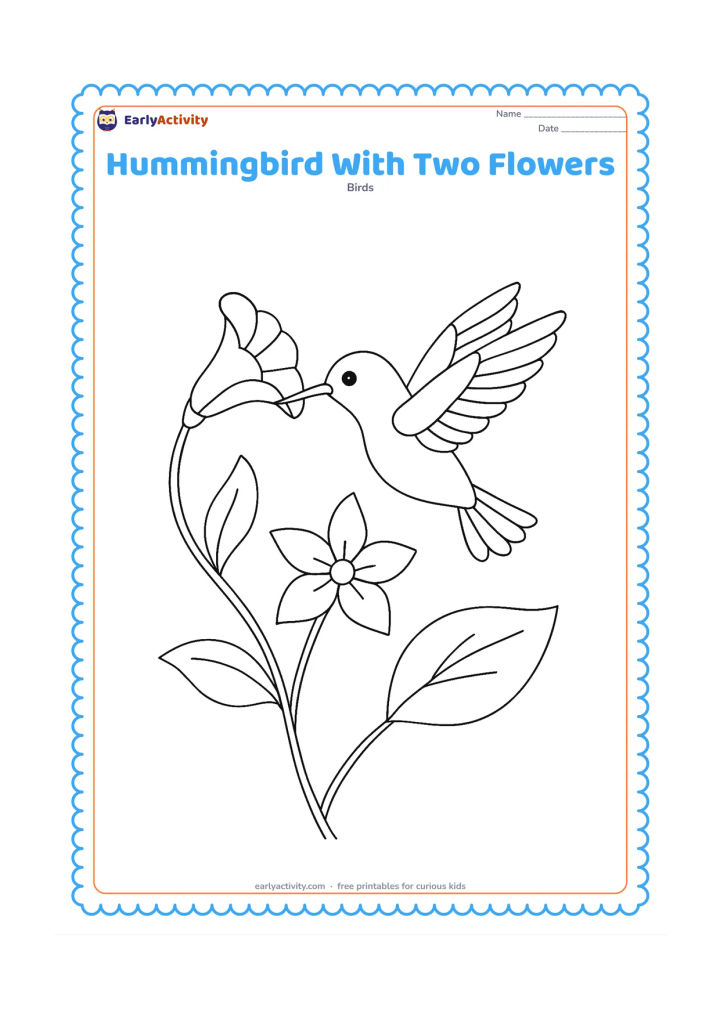 Colouring page: A hummingbird moves between two different flowers, one trumpet-shaped and one star-shaped, with its wings beating and tail fanned. Add a curving stem and broad leaves.