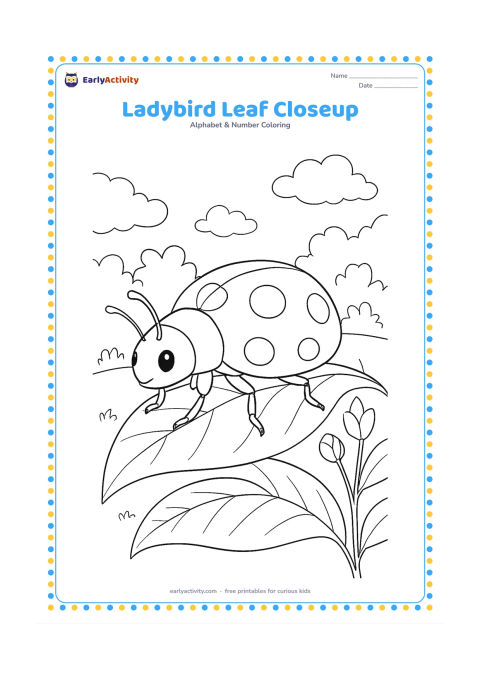 Colouring page: Draw a large ladybird walking across a curled leaf, with visible legs, antennae, wing sections and varied leaf veins. Add a second leaf, small flower buds and a softly layered garden…