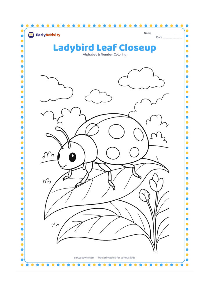 Colouring page: Draw a large ladybird walking across a curled leaf, with visible legs, antennae, wing sections and varied leaf veins. Add a second leaf, small flower buds and a softly layered garden…