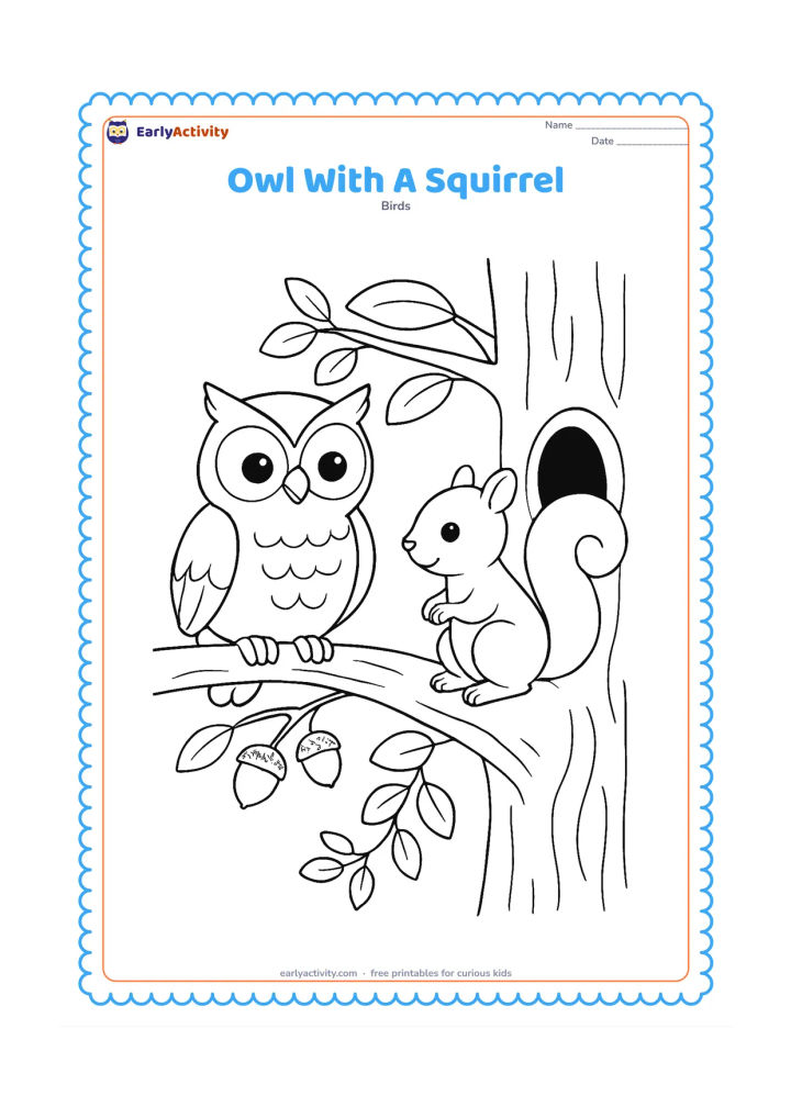 Colouring page: An owl and a friendly squirrel share a broad tree branch, with a hollow, leaves, acorns and a small vine around them.